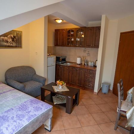 Appartement Albatros à Kotor Extérieur photo