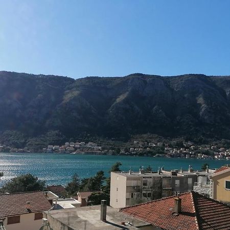 Appartement Albatros à Kotor Extérieur photo