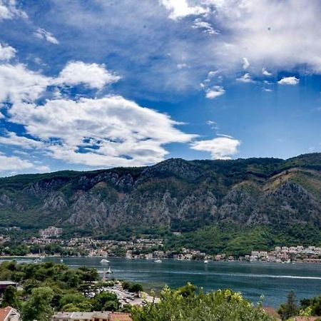 Appartement Albatros à Kotor Extérieur photo