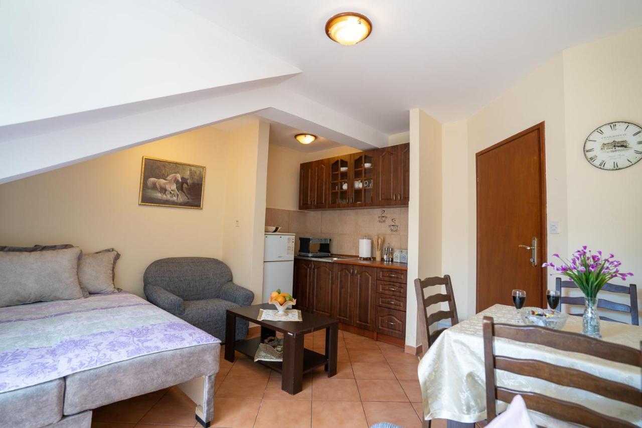 Appartement Albatros à Kotor Extérieur photo